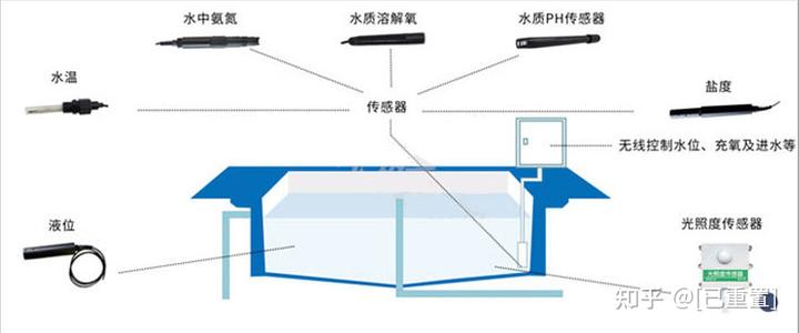 致富经石蛙_致富经石蛙鱼共生_致富经石蛙养殖技术视频