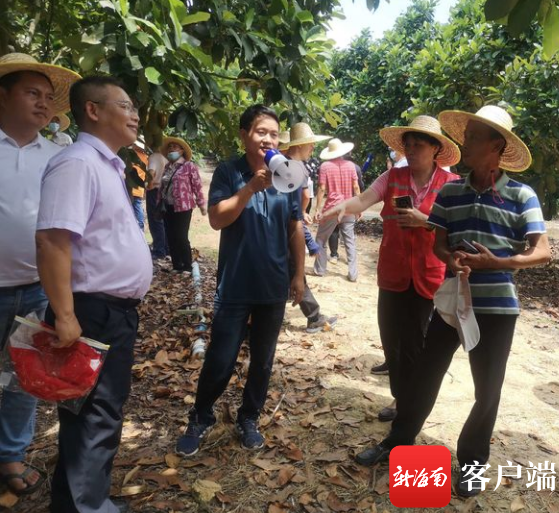 三亚引导种植榴莲及榴莲蜜 拓宽致富门路