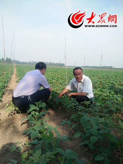 菏泽种植大户费心科：油用牡丹铺就致富路