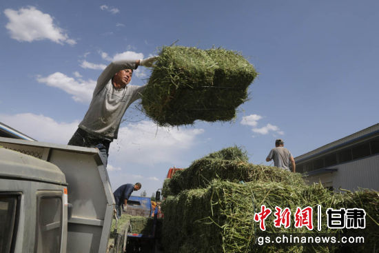 种草养殖致富经_致富养殖种草图片大全_致富养殖好项目