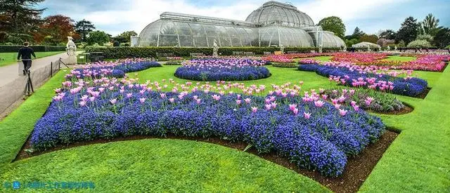 花卉养殖栀子技术要求_栀子花养殖视频教程_栀子花卉养殖技术