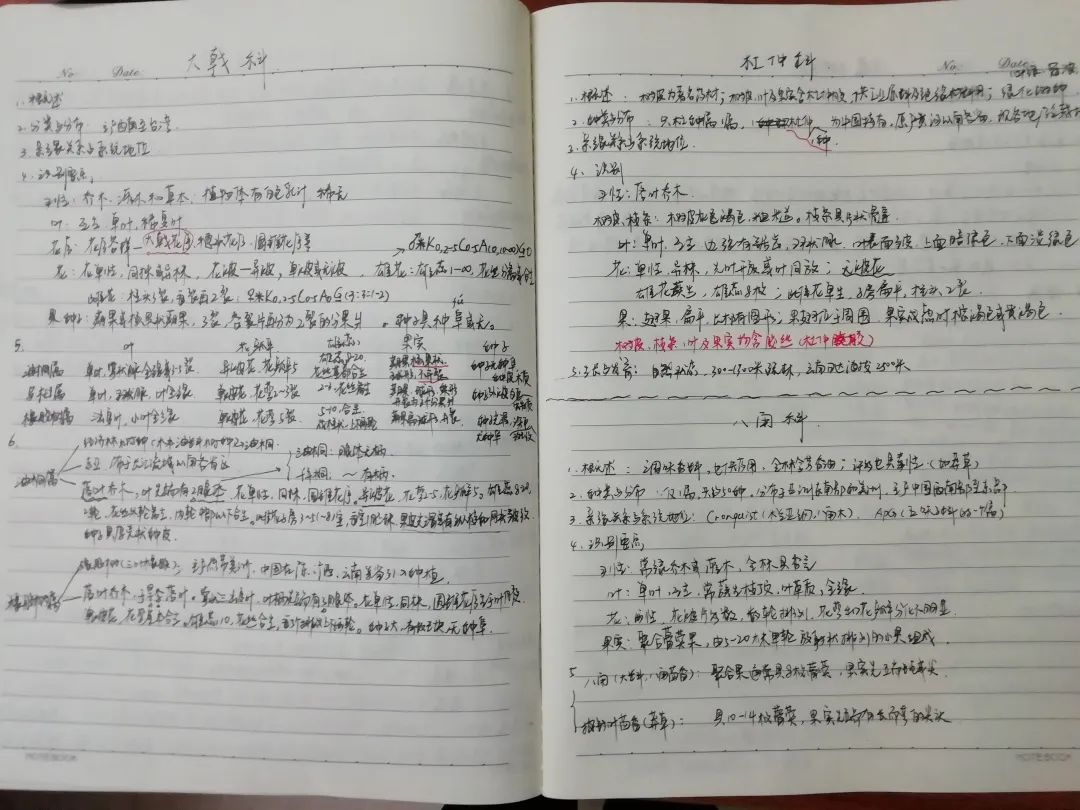 网课经验分享活动总结_优秀教师网课经验分享_优质网课分享经验