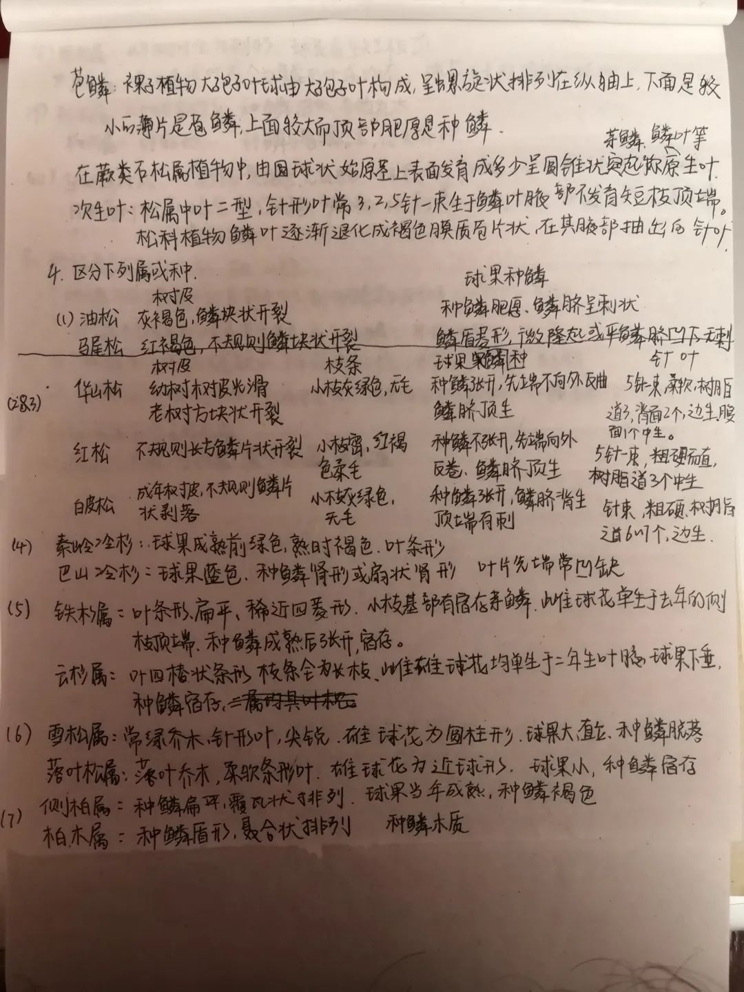 网课经验分享活动总结_优质网课分享经验_优秀教师网课经验分享