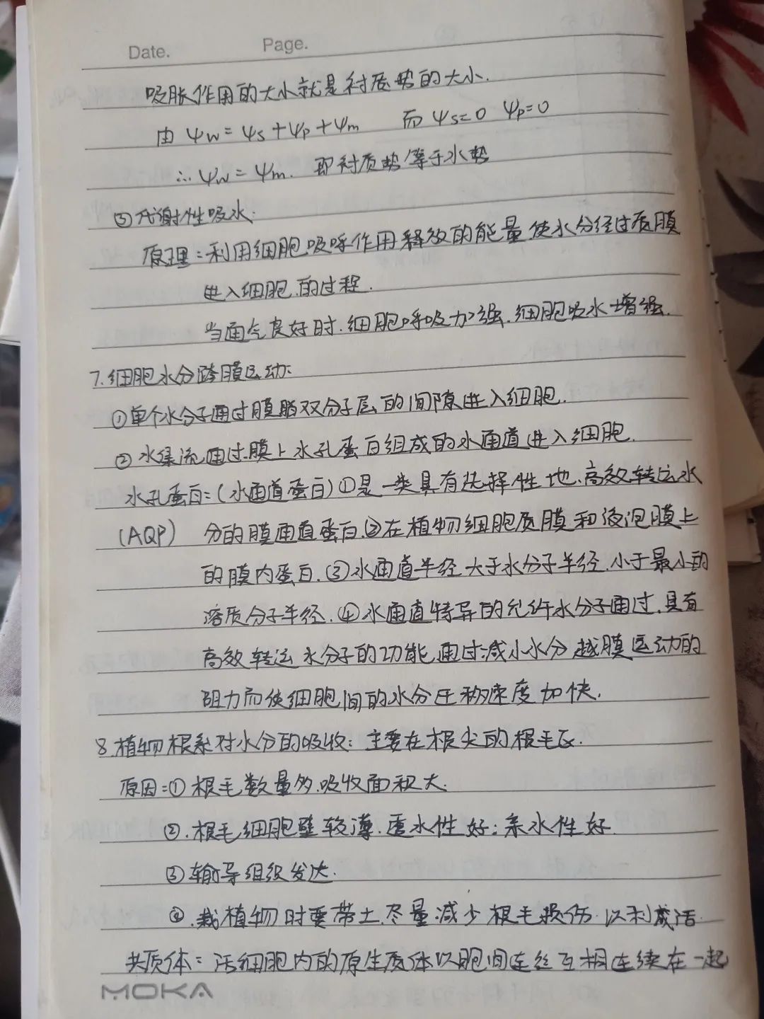 优秀教师网课经验分享_网课经验分享活动总结_优质网课分享经验