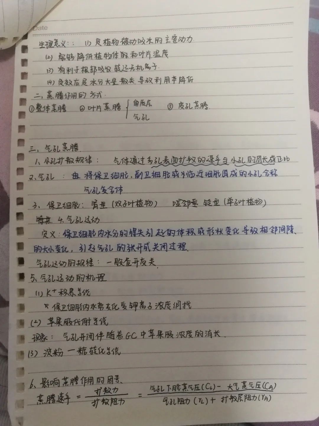 优秀教师网课经验分享_优质网课分享经验_网课经验分享活动总结