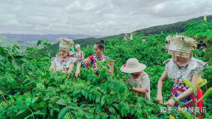 养花致富_致富经花卉创业_致富经 花卉