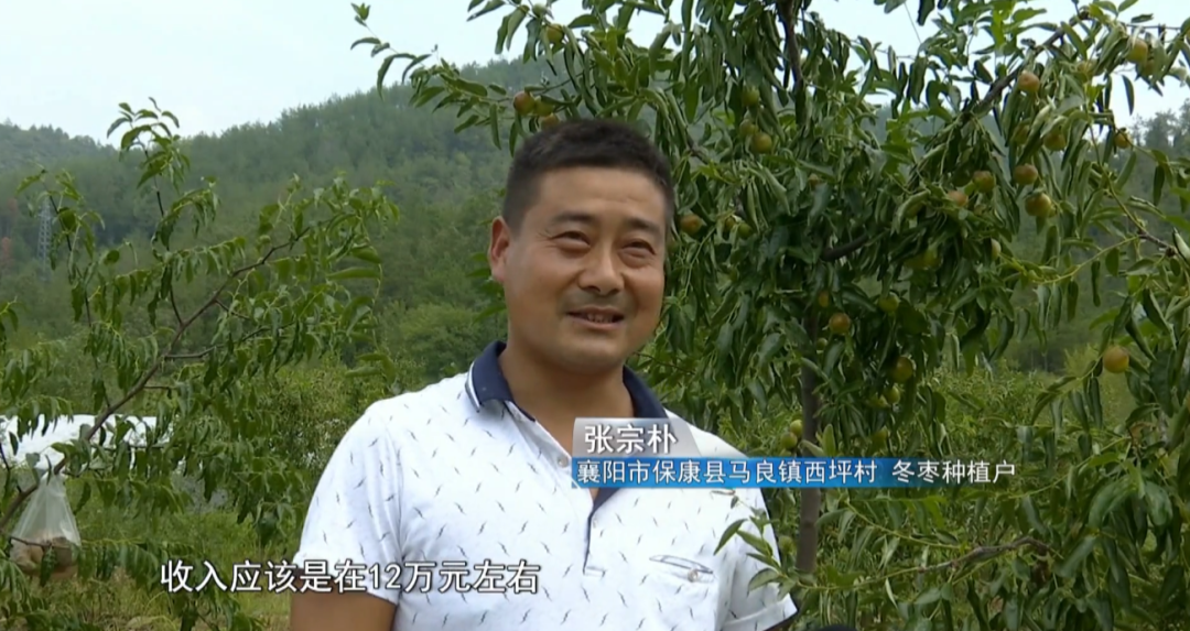 致富种植农村东西叫什么_农村种植致富的东西叫什么_致富种植农村东西叫什么名字