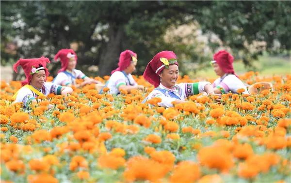 致富超市水果图片_致富经 水果超市_致富超市水果怎么样