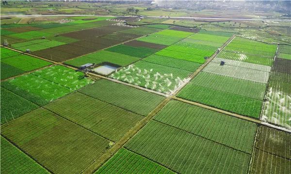 致富经 水果超市_致富超市水果怎么样_致富超市水果图片