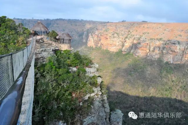 养殖海豹致富的人_海豹养殖场_人工养殖海豹