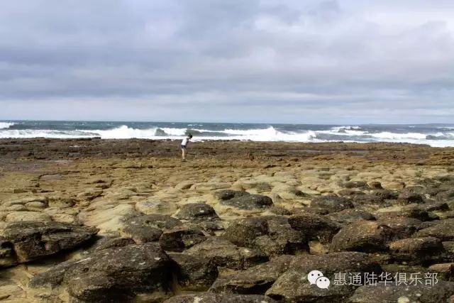 海豹养殖场_人工养殖海豹_养殖海豹致富的人