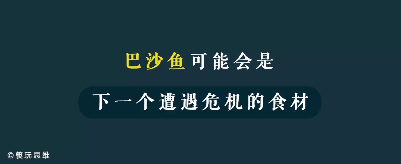 巴沙鱼养殖最短周期办法_巴沙鱼的养殖技术_巴沙鱼苗养殖