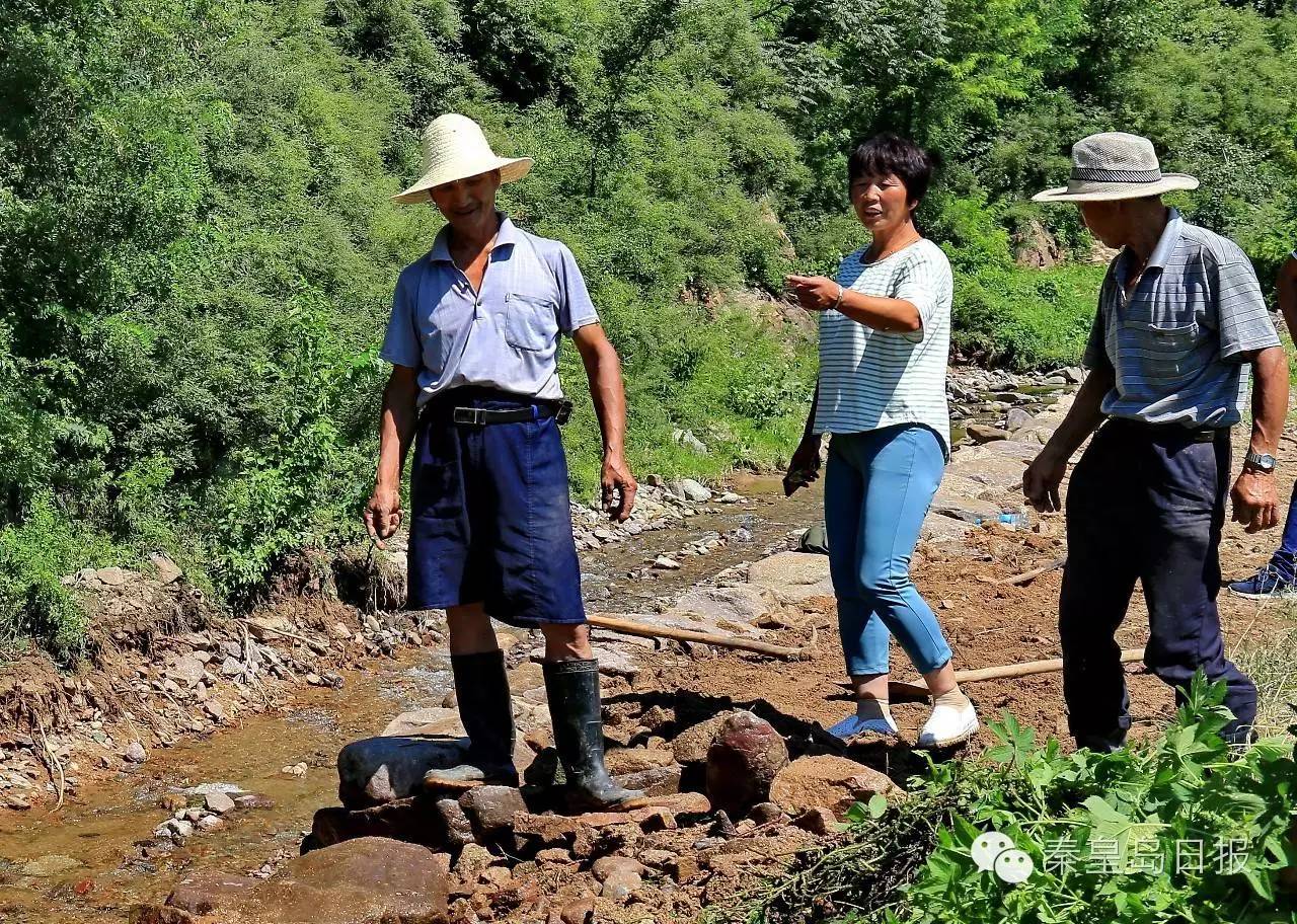 海豹养殖场_养殖海豹致富的人_致富养殖海豹人视频