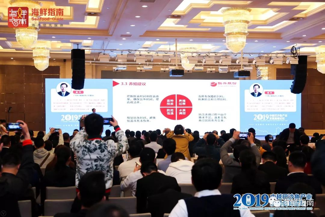 巴沙鱼的养殖技术_巴沙鱼养殖技术视频_巴沙鱼养殖