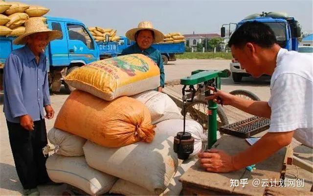 致富种植农村门路图片大全_农村种植致富门路_农村致富种植项目