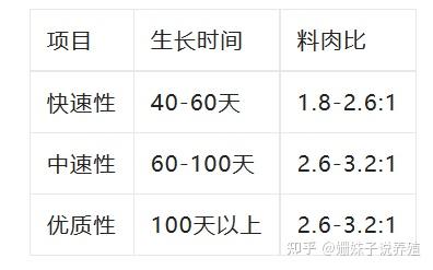 养殖土鸡视频全集视频播放_南方土鸡养殖技术视频_养殖土鸡的技术视频