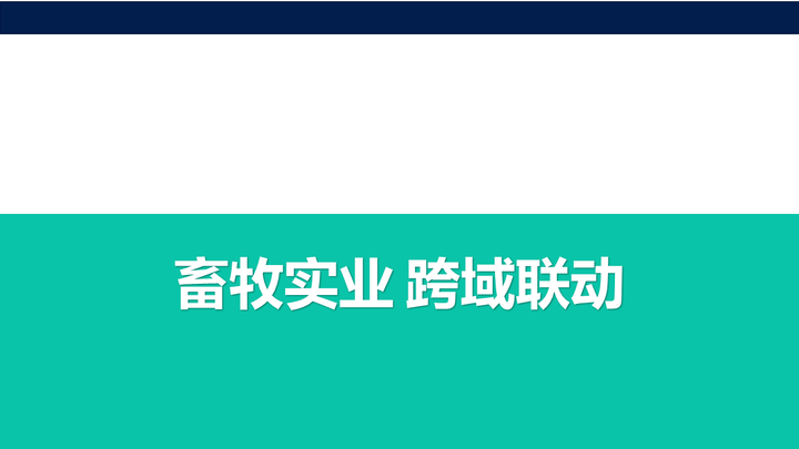 以规划引领_借鉴优质规划经验_突出规划引领作用