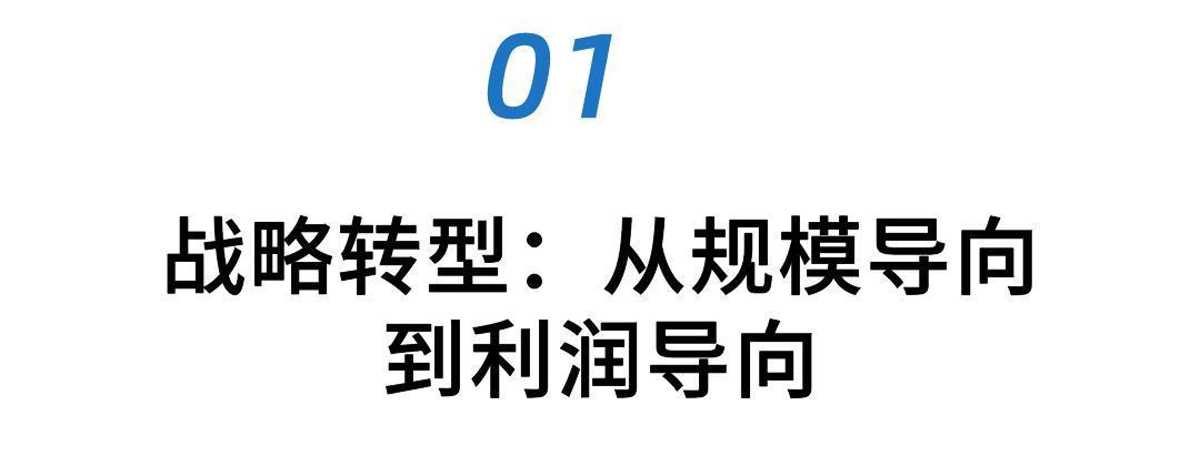 松鼠前景养殖技术视频_松鼠的养殖前景_松鼠养殖技术及前景