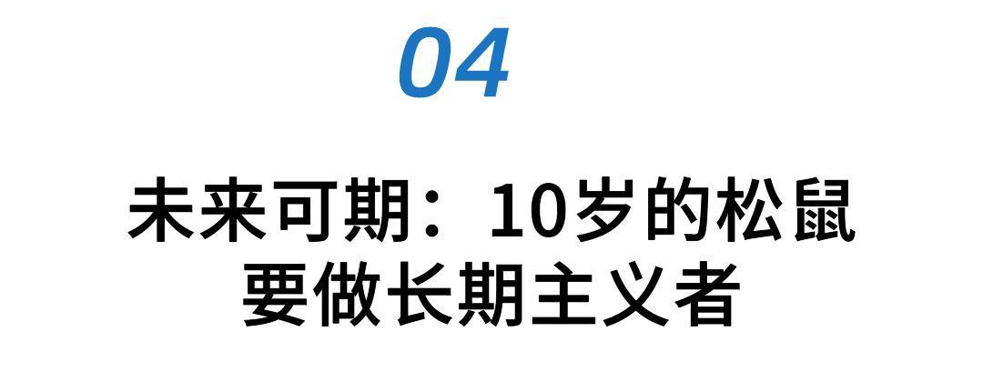 松鼠的养殖前景_松鼠养殖技术及前景_松鼠前景养殖技术视频