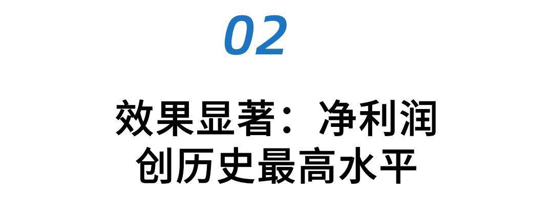 松鼠前景养殖技术视频_松鼠的养殖前景_松鼠养殖技术及前景