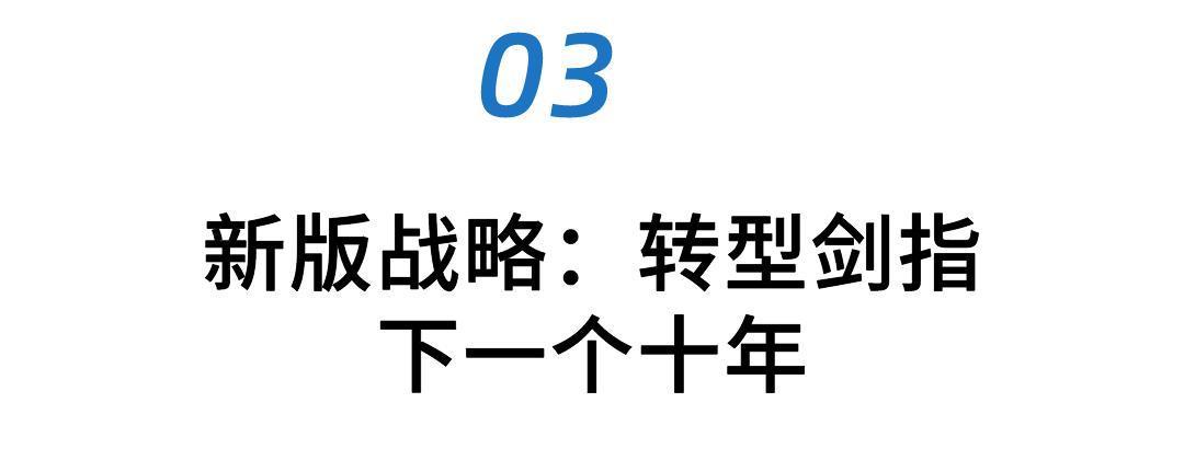 松鼠的养殖前景_松鼠养殖技术及前景_松鼠前景养殖技术视频