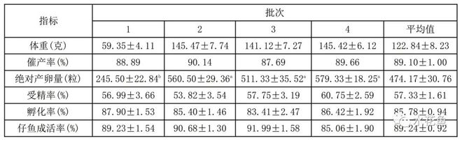 黄鳝养殖技术视频教程_养殖黄鳝前景_最新黄鳝养殖技术视频