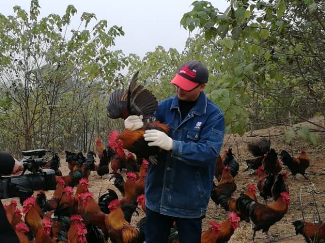 农业致富种植销路_致富种植农业销路如何_致富种植农业销路怎么样