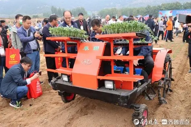 辣椒致富经_辣椒种植致富机构_致富辣椒种植机构有哪些