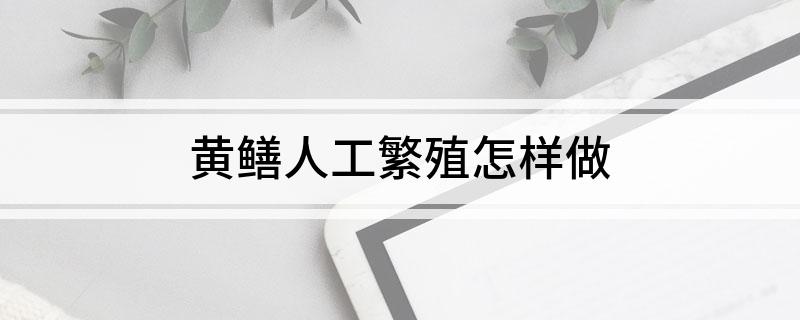 黄鳝人工繁殖怎样做