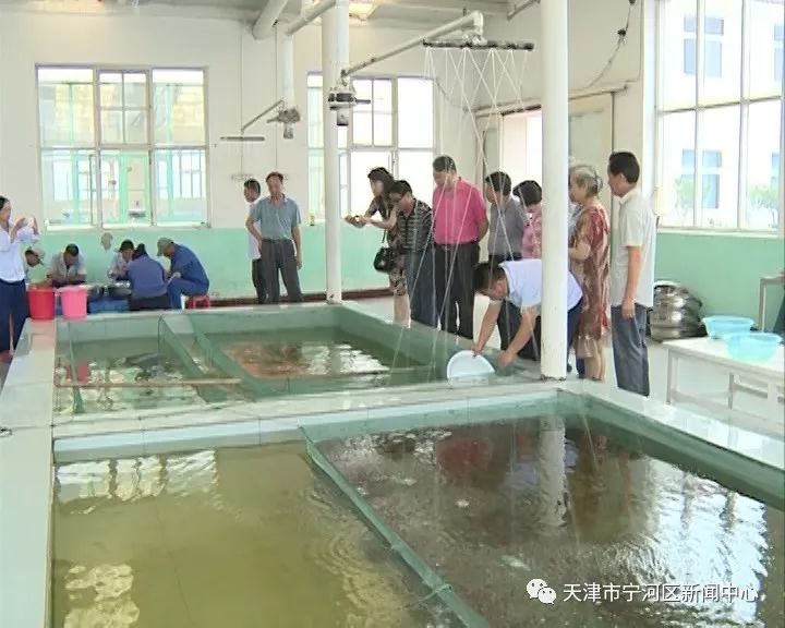 海鲜水产养殖知识_淡水海鲜养殖技术_海鲜淡水养殖技术方法