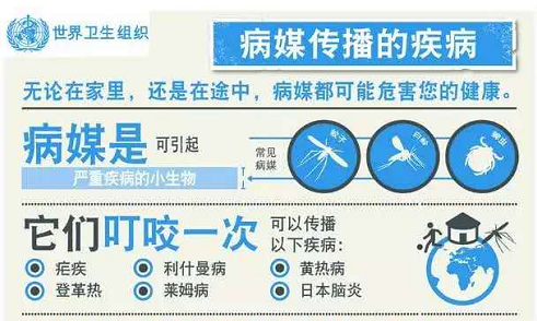 蚊子养殖场_蚊子养殖技术_养殖蚊子致富