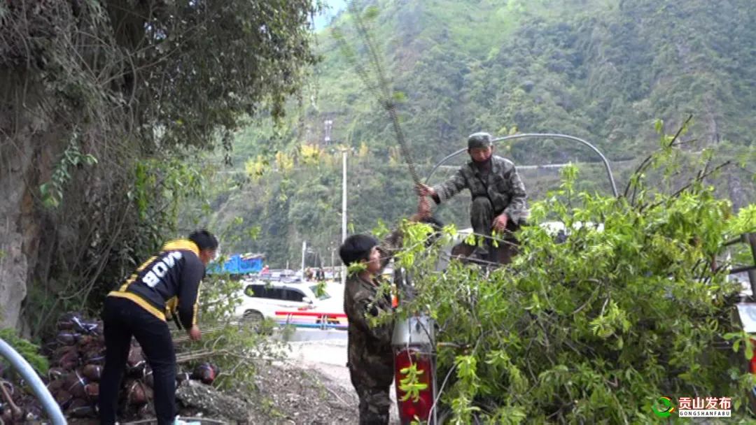 种植蜜源树种致富_致富果树_致富经种果树