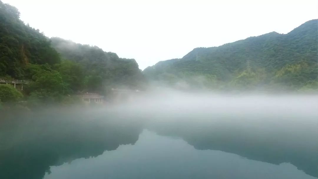 致富经养殖鲟鱼吴良美_鲟鱼养殖合作_养殖鲟鱼有销路吗