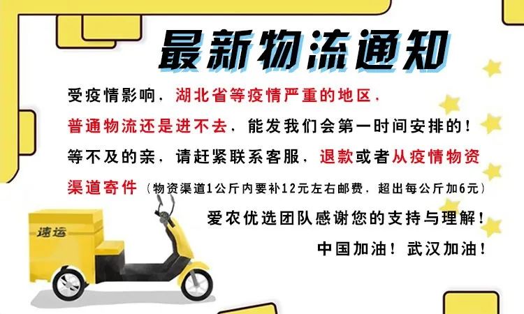 致富黄瓜水果种植技术视频_致富经种植水果黄瓜_水果黄瓜种植效益