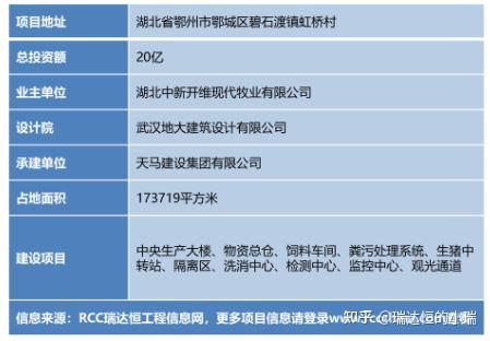 聚焦三农致富经养猪_三农致富项目_聚焦三农致富经