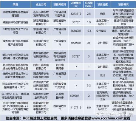 三农致富项目_聚焦三农致富经养猪_聚焦三农致富经