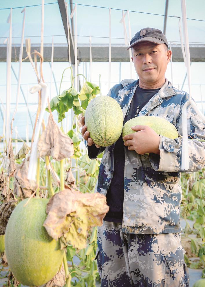 甜笋的种植_甜竹笋种植技术视频_农广天地甜笋种植技术视频