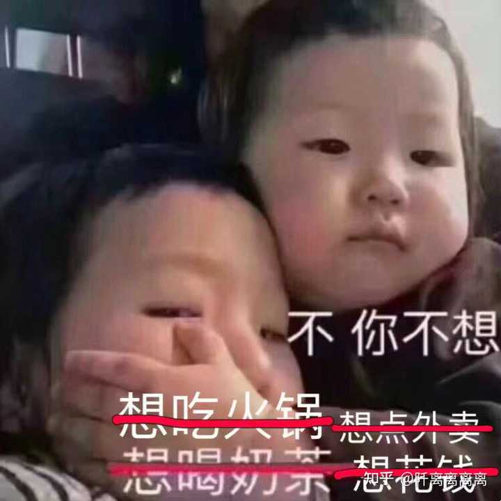 优质的视频内容_精选优质短视频_15天优质经验分享视频