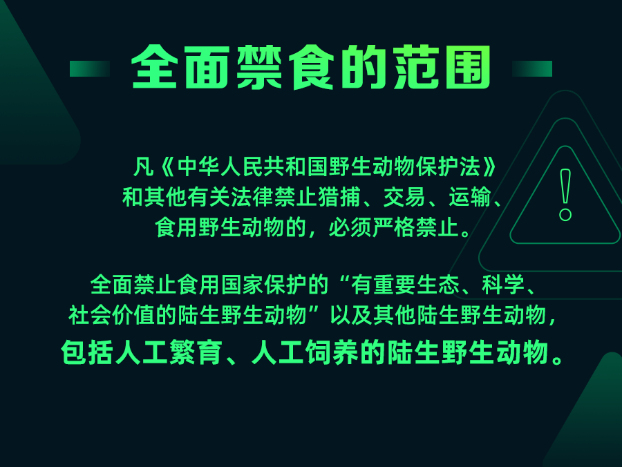 野生毛鸡的捕捉方法_野生养殖鸡毛技术要求_野生毛鸡养殖技术