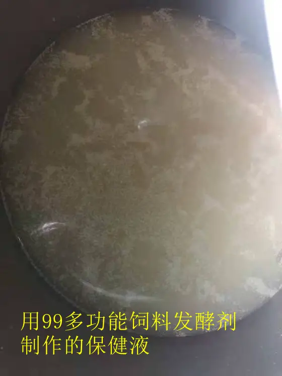 致富经蝗虫养殖_2021养殖蝗虫的前景_致富养殖蝗虫图片