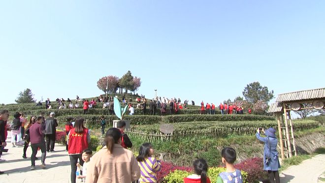 致富种植芦柑怎么样_种植芦柑致富吗_致富种植芦柑视频