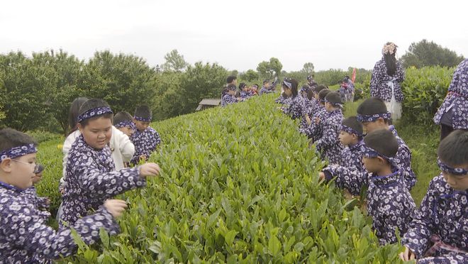 致富种植芦柑怎么样_种植芦柑致富吗_致富种植芦柑视频