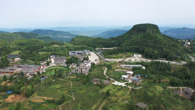 致富种植芦柑怎么样_种植芦柑致富吗_致富种植芦柑视频