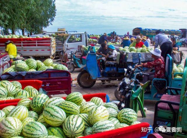 北京附近西瓜种植基地_致富经种西瓜北京_致富经西瓜种植全视频