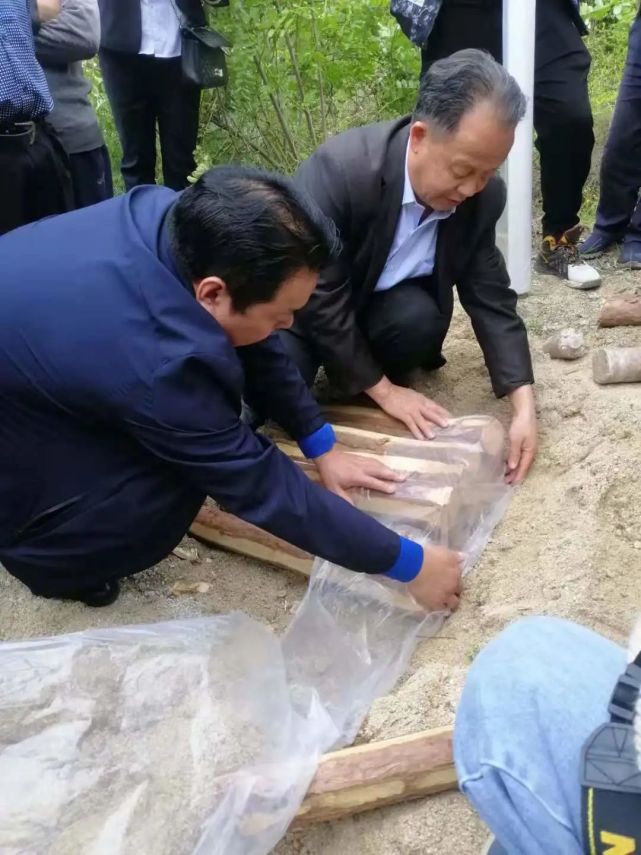 豇豆种植技术与管理视频_洋县种植豇豆致富_豇豆种植基地