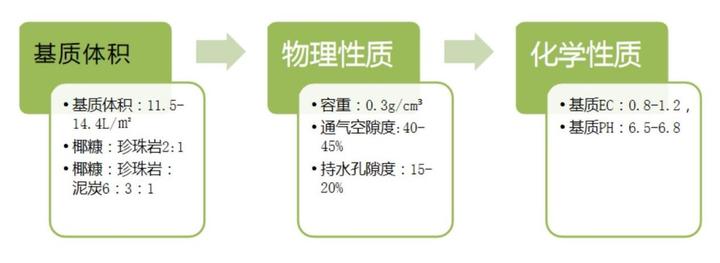 致富经种西瓜北京_北京附近西瓜种植基地_致富经种西瓜致富的事