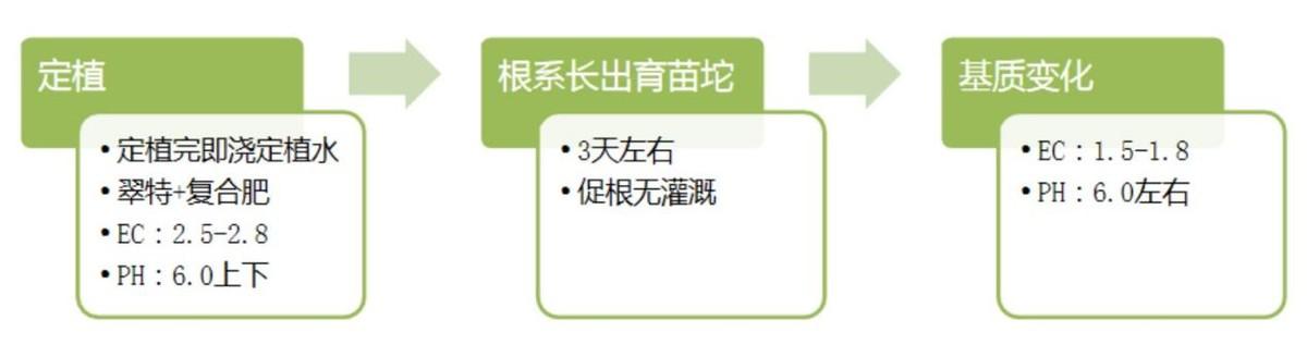 致富经种西瓜北京_致富经种西瓜致富的事_北京附近西瓜种植基地