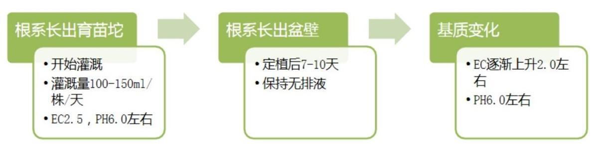 致富经种西瓜致富的事_致富经种西瓜北京_北京附近西瓜种植基地