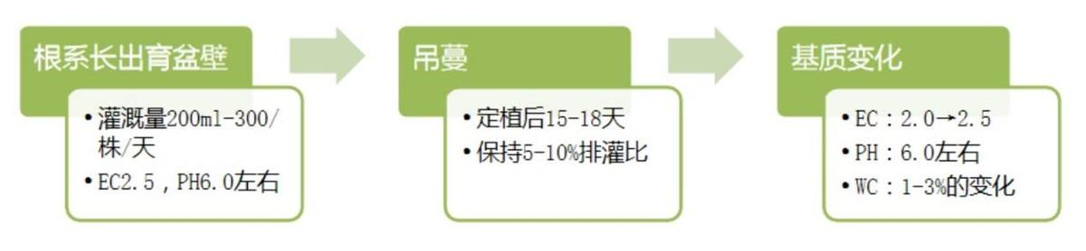 北京附近西瓜种植基地_致富经种西瓜致富的事_致富经种西瓜北京