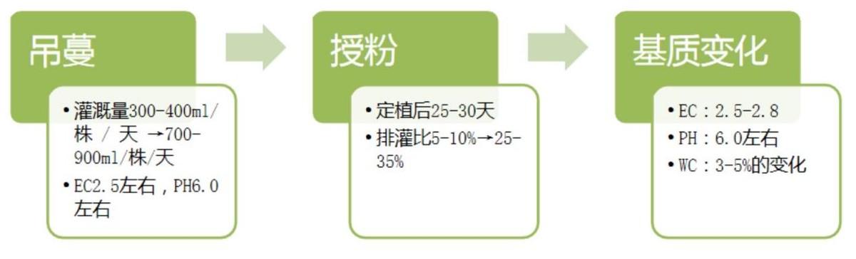 致富经种西瓜致富的事_北京附近西瓜种植基地_致富经种西瓜北京